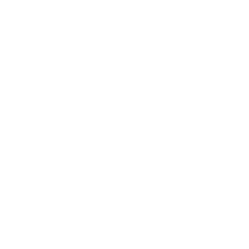 SEO Optimization company in madurai